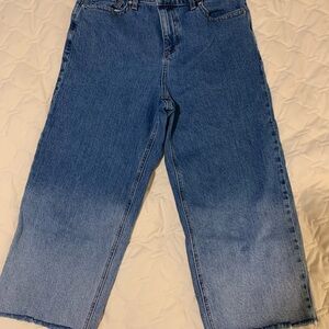 Talbots Petite 10 Ankle Jeans